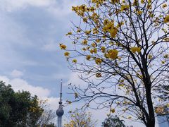 -文华公园(禅城区)
