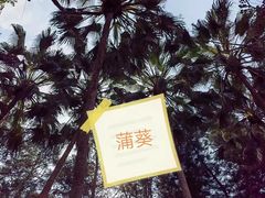 -中国科学院西双版纳热带植物园