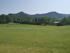 -大唐贡茶院