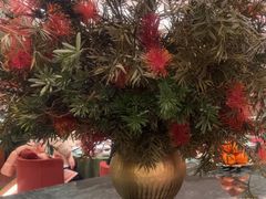 -老吉堂上海本帮菜(望京万象汇店)