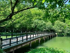 -八卦田遗址公园