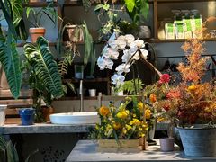 -自由生长植物工作室(深港花卉中心店)