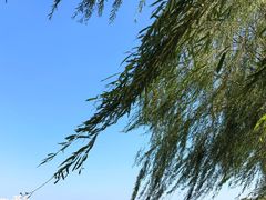 -天津东丽湖风景区