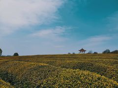 -凤凰沟景区