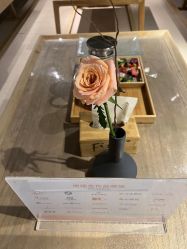 点击看大图 -FineYoga梵音瑜伽·普拉提