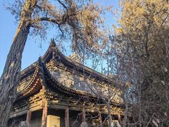 -张掖大佛寺景区