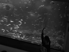 -多彩贵州城极地海洋世界