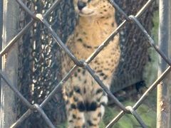 -大连森林动物园