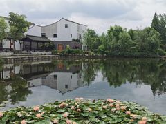 -东梓关景区村庄