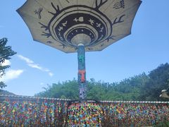 -西双版纳原始森林公园