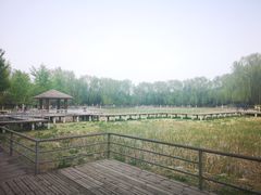 -金星公园