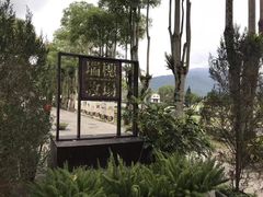 -瑞穗牧场