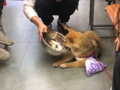-无牌咖啡&酒馆