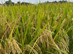 -中国天府农业博览园