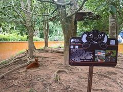 -野象谷景区