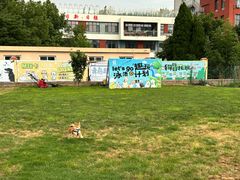 -趣玩宠物乐园寄养训犬训狗游泳池