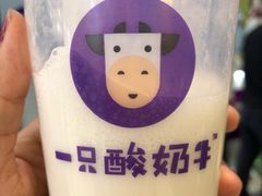 -一只酸奶牛(丹尼斯大卫城店)
