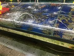 -新锦鸿(演达店)