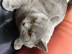 -瑞派天宁宠物医院·猫科·异宠中心
