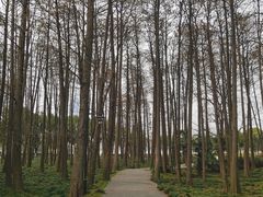 -月湖风景区