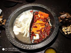 -锅说大脸毛肚重庆老火锅(佐阾店)