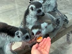 -水上乐园·欢乐世界