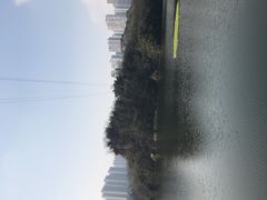 -重庆彩云湖湿地公园