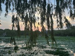 -长春市南湖公园