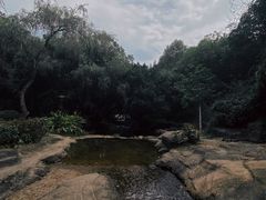 -红花湖景区