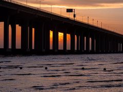 -宝安西湾红树林湿地公园