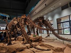 -自贡恐龙博物馆