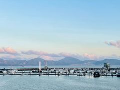 -希尔顿南海酒店·观廊大堂吧·海景下午茶