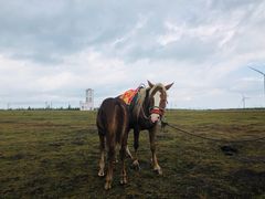 -塞罕坝国家级自然保护区