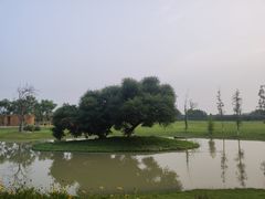 -夏河溪乡野公园