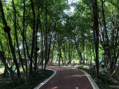-杭州双溪漂流景区