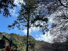 -安溪清水岩