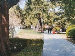 -北京市劳动人民文化宫(太庙)