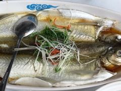 清蒸太湖白鱼-翡翠江南(国贸商城店)