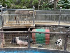 -上海崇明金茂凯悦酒店