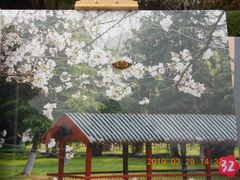 -堤角公园