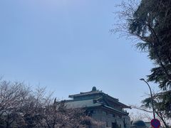 -武汉大学-樱园