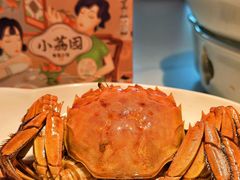 -小荔园·粤菜小馆(美的悦然广场店)