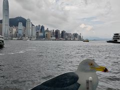 -天星小轮码头