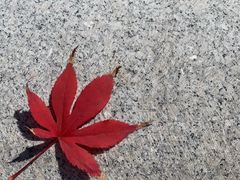-八大处公园