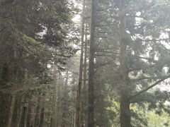 -含鄱口