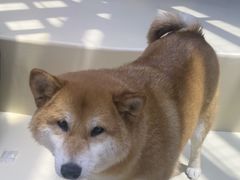 -鹏欣水游城