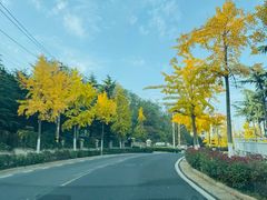 -吕氏焗小鲜•海鲜青岛菜(八大关店)