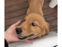 -FUTURE LOUNGE(太古里店)