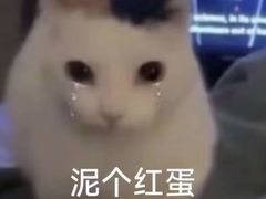 -永和大王(春日上新·凤凰东街店)