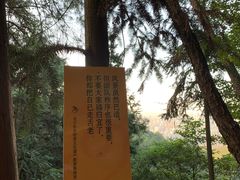 -壹华里市集